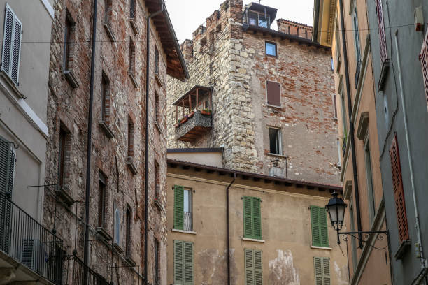 Plant growing in an old roof in Lyon.