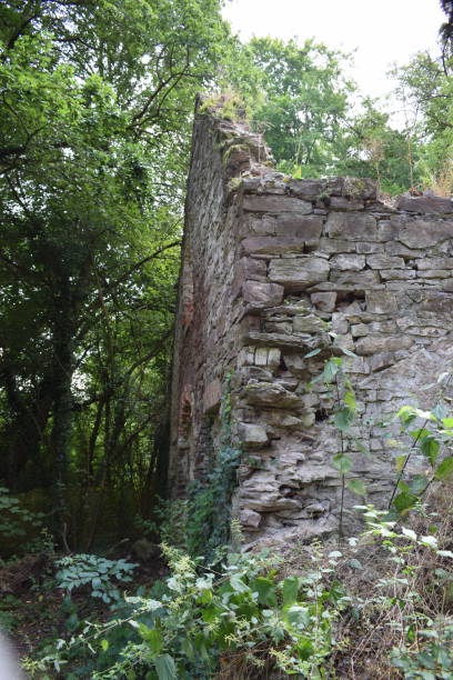 istock old factory ruin 1166005655