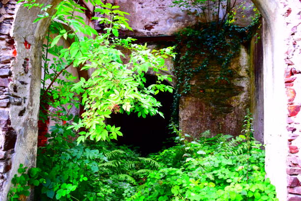 istock old factory ruin 1166005934
