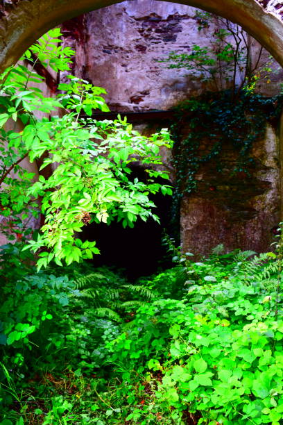istock old factory ruin 1166006686