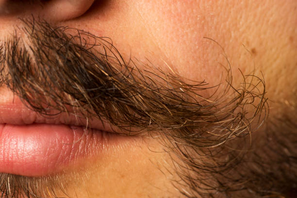 istock Curled, sexy and messy mustache close up with sexy lips and beard. 1166007779