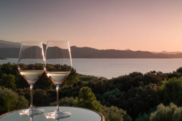 istock Two Glasses of white wine 1166007830