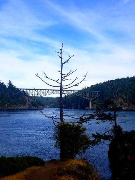 istock Deceptions Pass Bridge on Whidbey Island, WA 1166014737