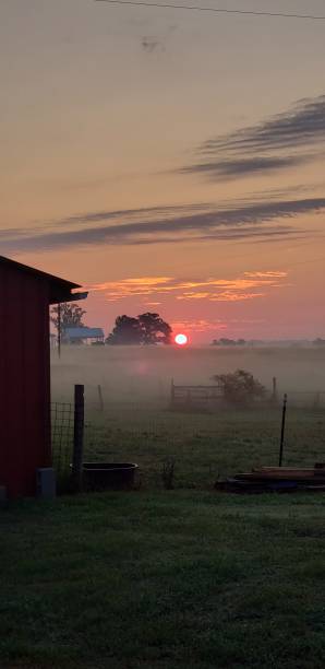 istock Sunrise and fog 1166016506
