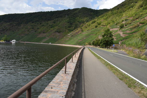 istock Mosel valley vine yards and road 1166017817