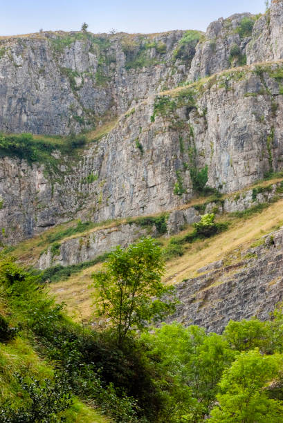 istock cheddar gorge limestone mendip hills somerset england uk 1166018974
