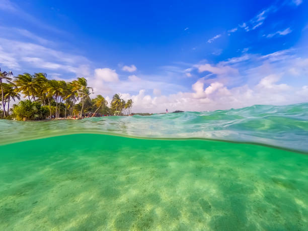 istock Split underwater view of La Caravelle beach in Guadeloupe 1166019182