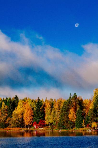 feuillage d'automne, forêt colorée d'automne au-dessus du lac bleu avec des cabines rouges en finlande. - finland sauna lake house photos et images de collection