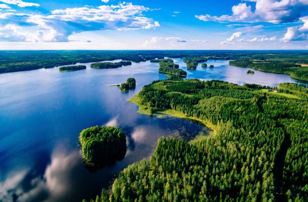 vista aerea dei laghi blu e delle foreste verdi in una soleggiata giornata estiva in finlandia dall'alto - finlandia foto e immagini stock