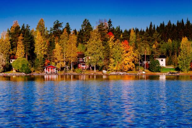 feuillage d'automne, forêt colorée d'automne au-dessus du lac bleu avec des cabines rouges en finlande. - finland sauna lake house photos et images de collection