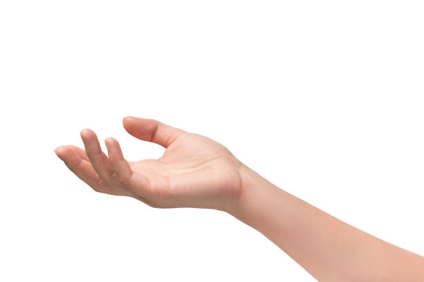 istock beautiful woman's hand isolated on white background 1166021169