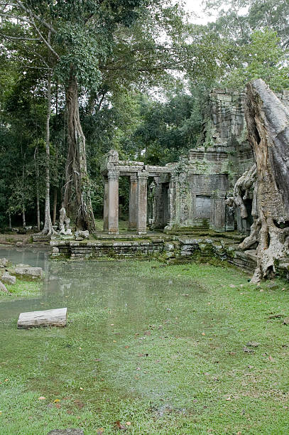 See More Images Of Angkor Wat And The Cambodian Jungle