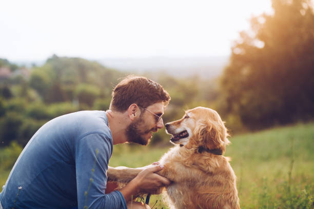 istock Guy and his dog, golden retriever, nature 1166023252
