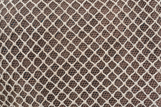 istock Abstarct background of fishing nets pattern. Lines patterns. Close up. 1166023335