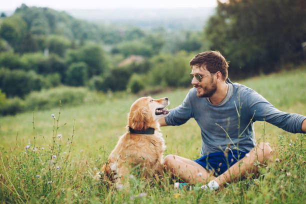 istock Guy and his dog, golden retriever, nature 1166024342