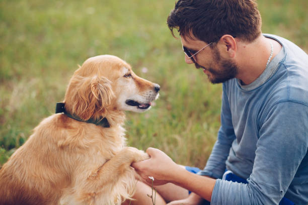istock Happy man outdoors with his dog 1166025167