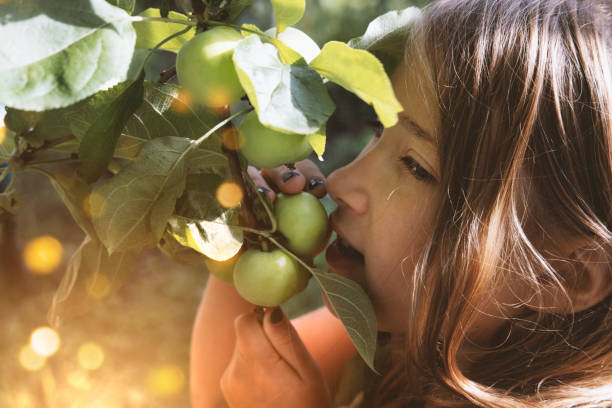 istock Girl eating strawberry 1166025641