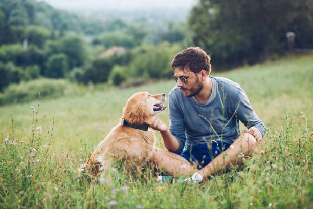 istock Guy and his dog, golden retriever, nature 1166027839