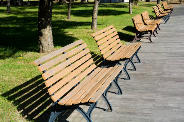 istock Wooden bench in the park 1166033183