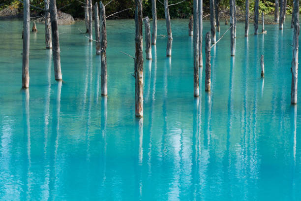 istock Summer blue pond in Biei 1166033213