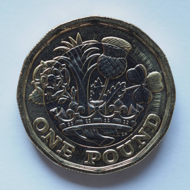istock 1 pound coin, United Kingdom 1166033315
