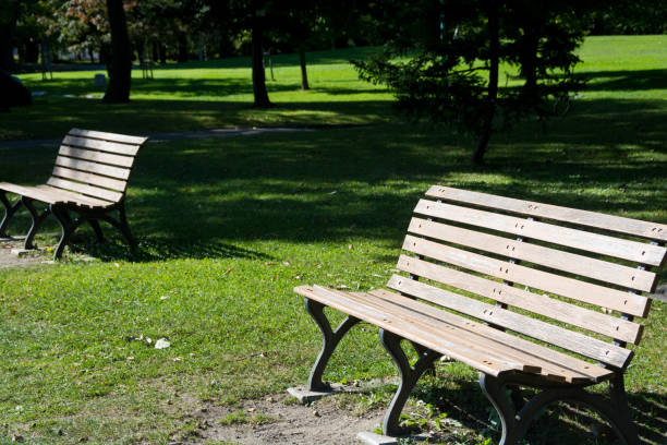 istock Wooden bench in the park 1166033316