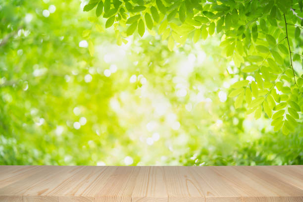 istock Empty wooden table on green nature background with beauty blur focused under sunlight. 1166033375