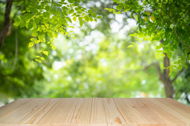 istock Empty wooden table on green nature background with beauty blur focused under sunlight. 1166033402