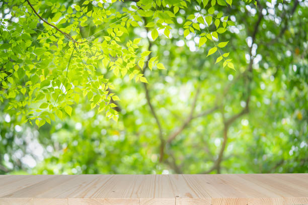 istock Empty wooden table on green nature background with beauty blur focused under sunlight. 1166034099