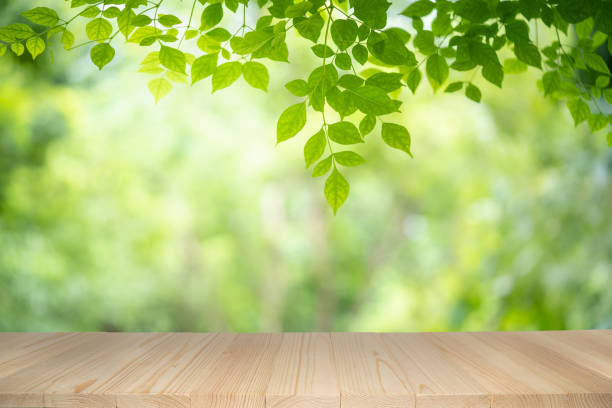 istock Empty wooden table on green nature background with beauty blur focused under sunlight. 1166034105
