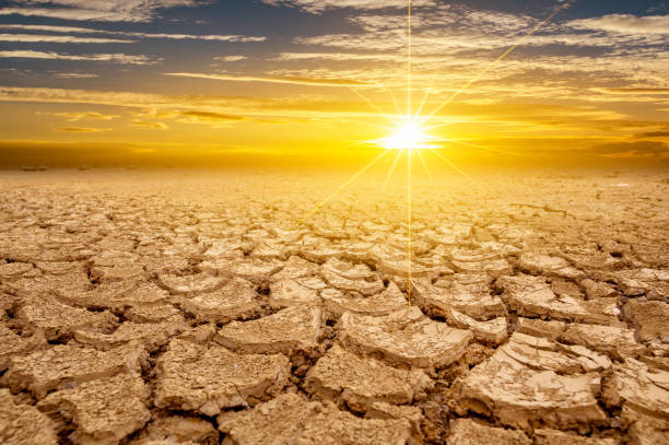 istock arid Clay soil Sun desert global worming concept cracked scorched earth soil drought desert landscape dramatic sunset 1166034330