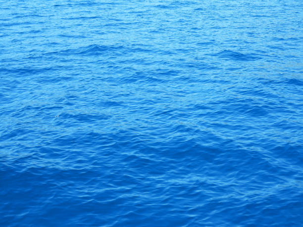 istock A deep blue sea water texture view from top 1166036786