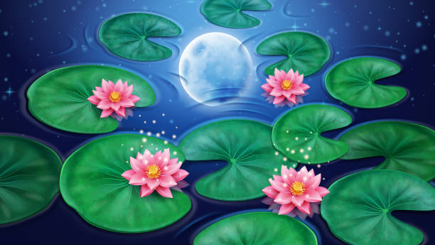 istock Water with lotus flower and moon reflection. Pink floral blossom with stars background. Decoration element for floral or botany banner. Asian or China, Indian element, Egyptian bean. Asia flora 1166041120