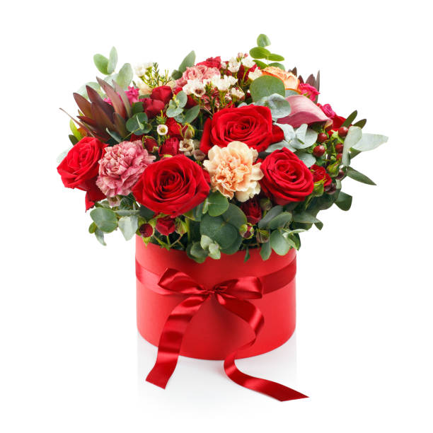 Beautiful bouquet in a red box on white Beautiful bouquet in a red luxury present box with a red bow, isolated on white background flower arrangement stock pictures, royalty-free photos & images