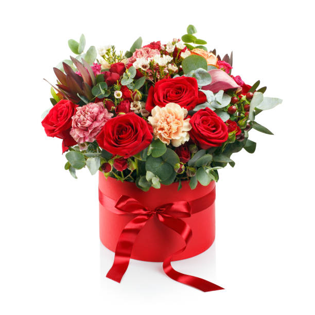 Beautiful bouquet in a red box on white Beautiful bouquet in a red luxury present box with a red bow, isolated on white background Bouquet stock pictures, royalty-free photos & images