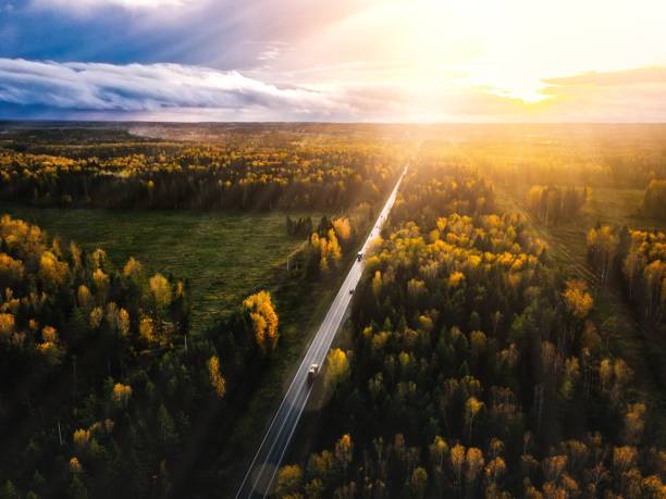 フィンランドの田舎の夕暮れ時の美しい秋の森の道路の航空写真。 - forest autumn aerial view leaf ストックフォトと画像