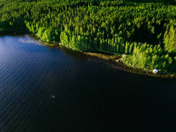 aerial view of blue lake with a fishing boat and green woods on a sunny summer day in finland. - finland sauna lake house imagens e fotografias de stock