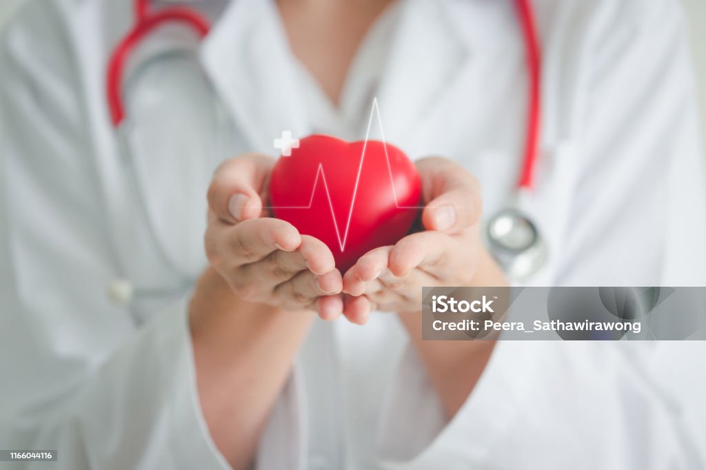 Concepto de cardiología cardíaca médica - Foto de stock de Corazón - Órgano interno libre de derechos
