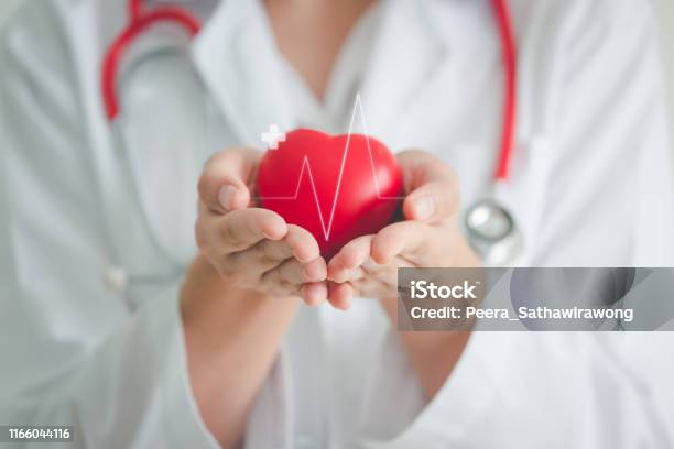 Concepto De Cardiología Cardíaca Médica Foto de stock y más banco de imágenes de Corazón - Órgano interno - Corazón - Órgano interno, Asistencia sanitaria y medicina, Estilo de vida saludable