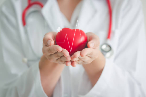 Medical heart cardiology concept Female medical doctor holding red heart shape in hand with graphic of heart beat, cardiology and insurance concept heart health stock pictures, royalty-free photos & images