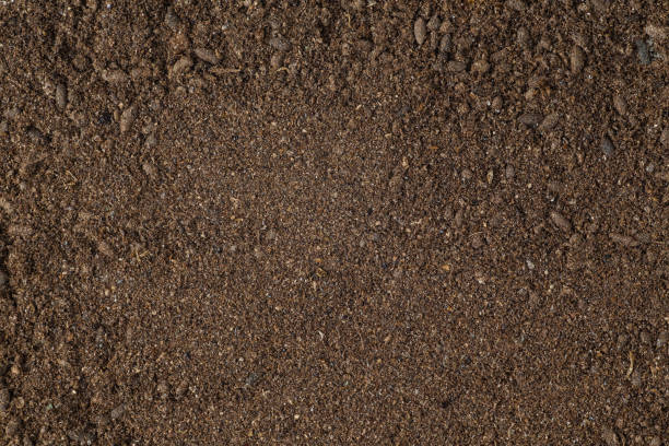 istock Guano fertilizer isolated on white background 1166048790