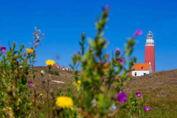 istock Lighthouse Eierland on the Dutch island Texel 1166051090
