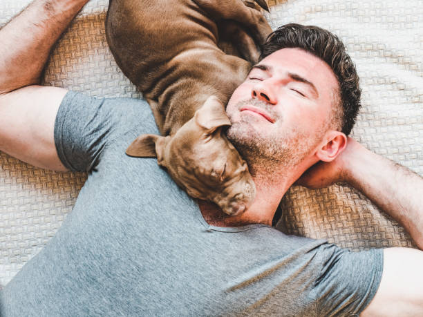 uomo e cucciolo affascinante appoggiati su un plaid - pit bull pit bull terrier dog pets foto e immagini stock
