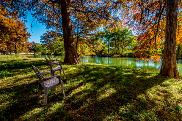 istock Beautiful Fall Foliage on the Guadalupe River, Texas. 1166056021