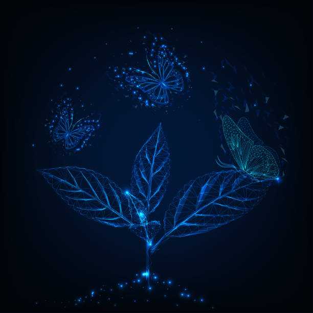 istock Futuristic glowing low poly flying butterflies around green plant on dark blue background. 1166056163
