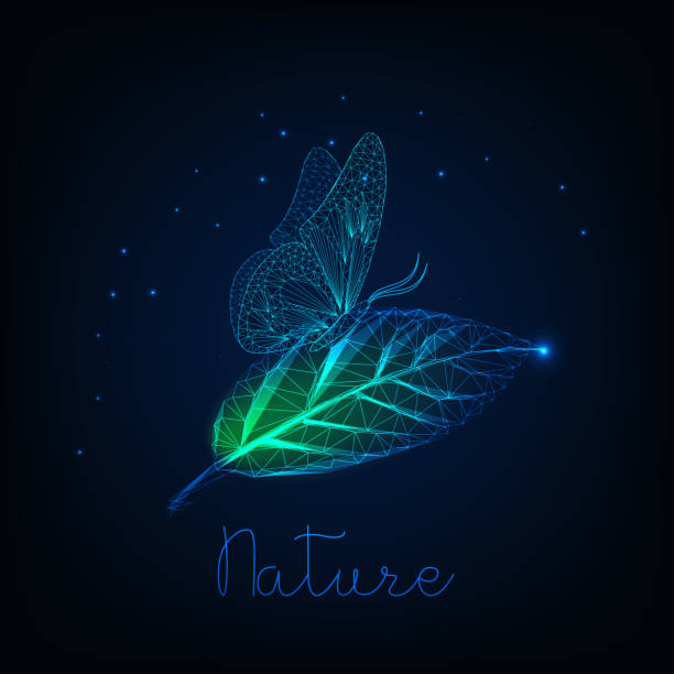 ilustrações de stock, clip art, desenhos animados e ícones de futuristic glowing low poly butterfly sitting on green leaf and text nature on dark blue background. - summer backgrounds line art butterfly