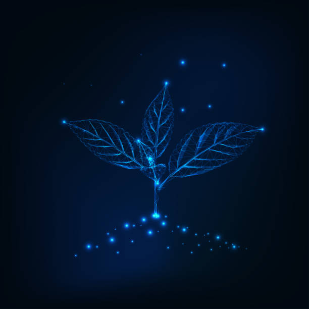 New sprout with leaves in a ground made of lines,dots, triangles. Growth, development concept. New sprout with leaves in a ground made of lines,dots, triangles. Growth, development concept. GMO engineering, biotechnology. Low polygonal wireframe futuristic design. Vector illustration. glowing leaves stock illustrations