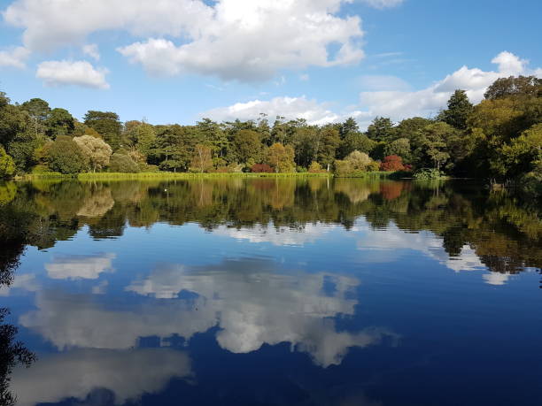 istock Reflections of trees in a lake 1166058453