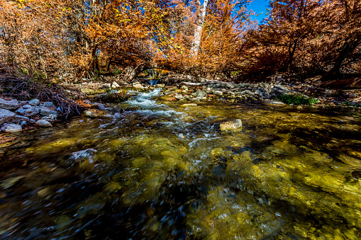 Swift Clear Waters of the Guadalupe River, with Waterfalls and Beautiful Fall Foliage of Mostly Big Cypress Trees in Texas on a Bright Sunny Day.