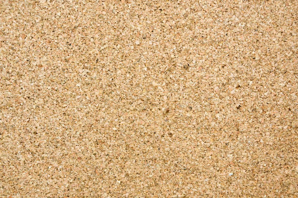 istock Corkwood texture, yellow-orange with black and gray dots background 1166062206
